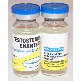 testosterone-enanthate-250mgml-10mlvial-ep